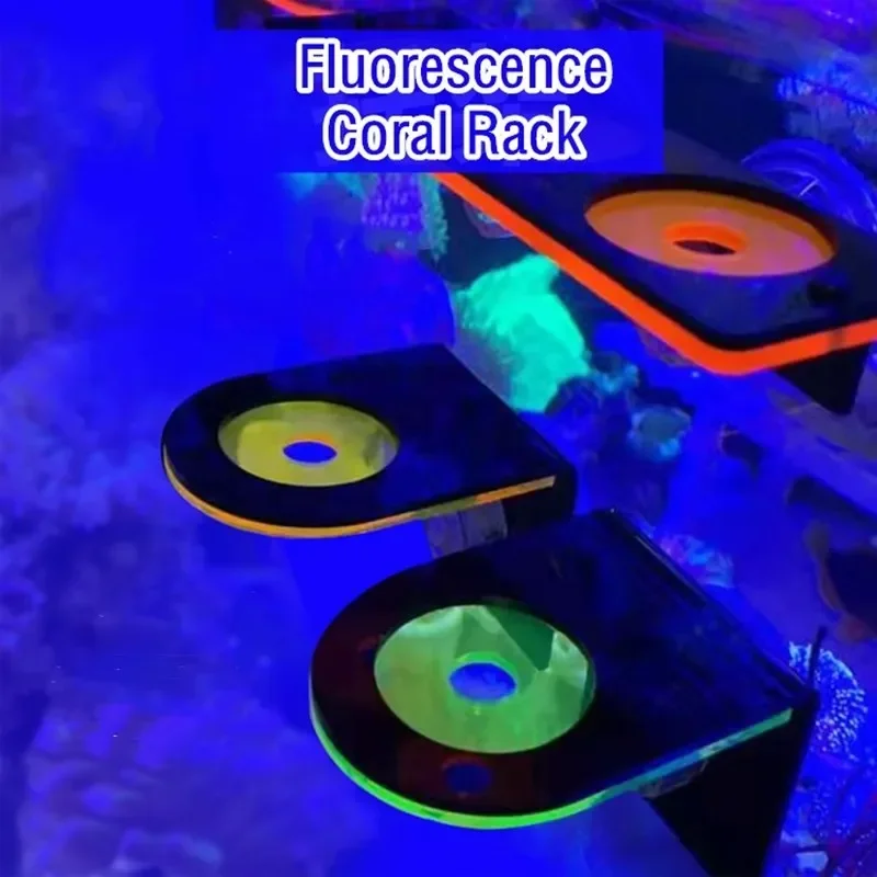 Marine Aquarium Reef - Suporte de coral fluorescente acrílico para