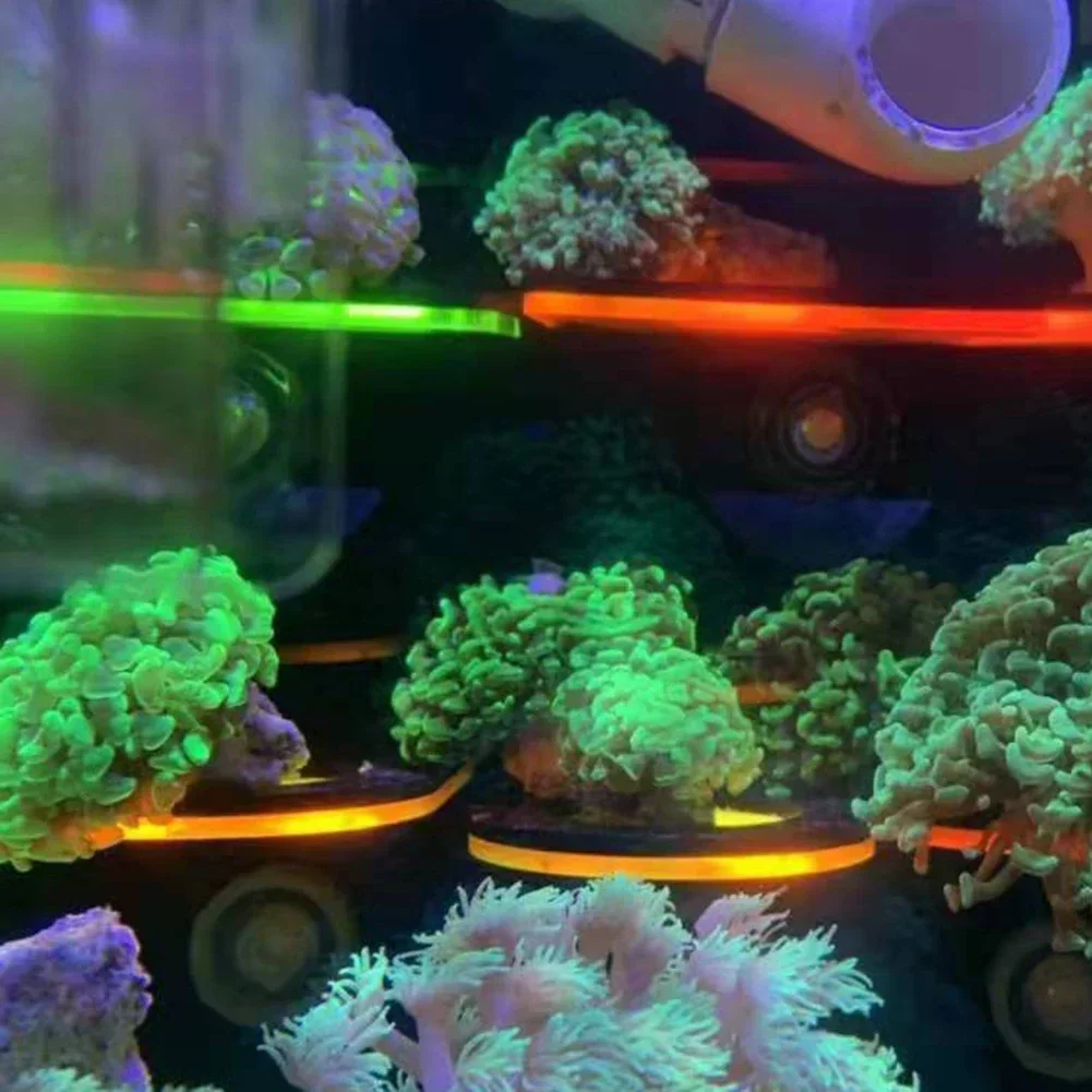 Suporte de coral fluorescente  - Marine Aquarium Reef avaliação e preço