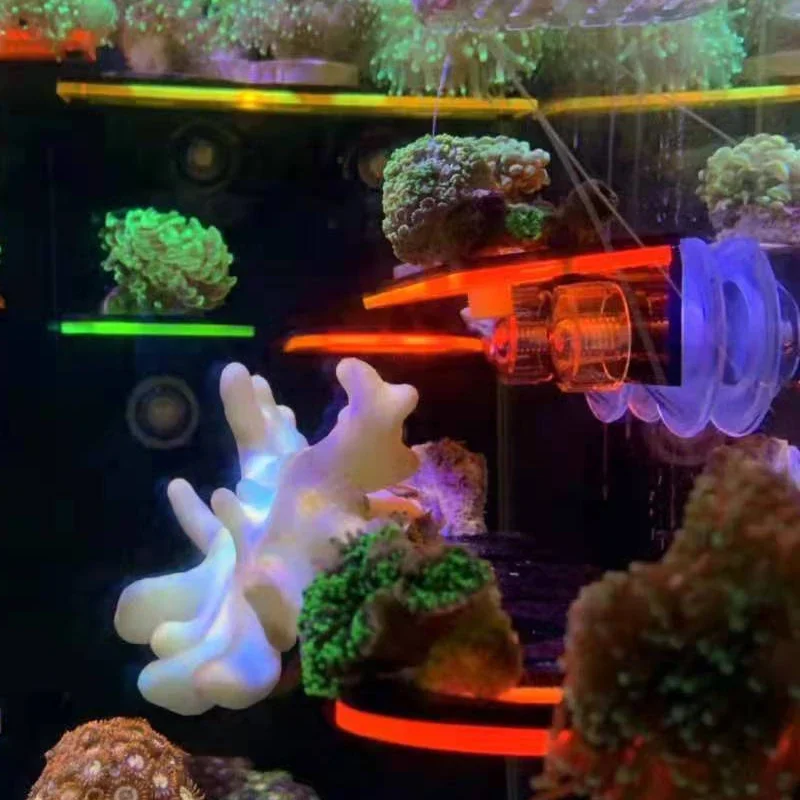 Suporte de coral fluorescente  - Marine Aquarium Reef avaliação e preço