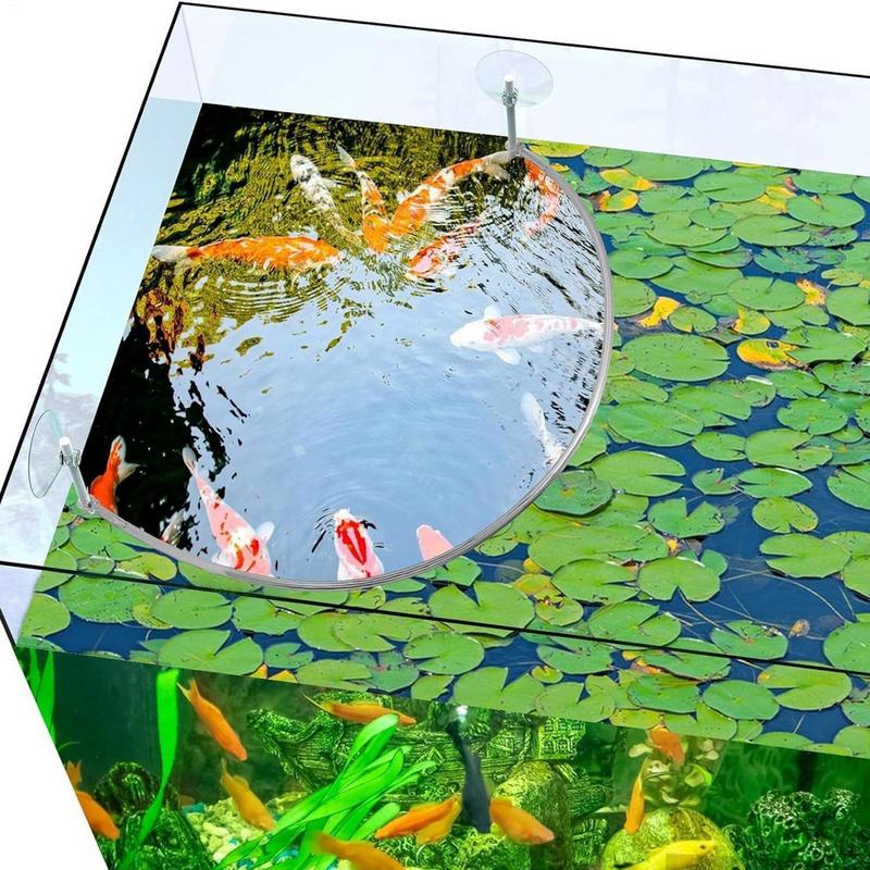 Anel de alimentação de peixes  - Aquarium Marine Filter avaliação e preço