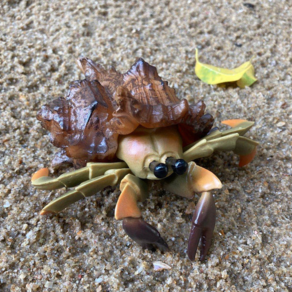 Decoração Realista de Carangue - Marine Aquarium Hermit Crab avaliação e preço